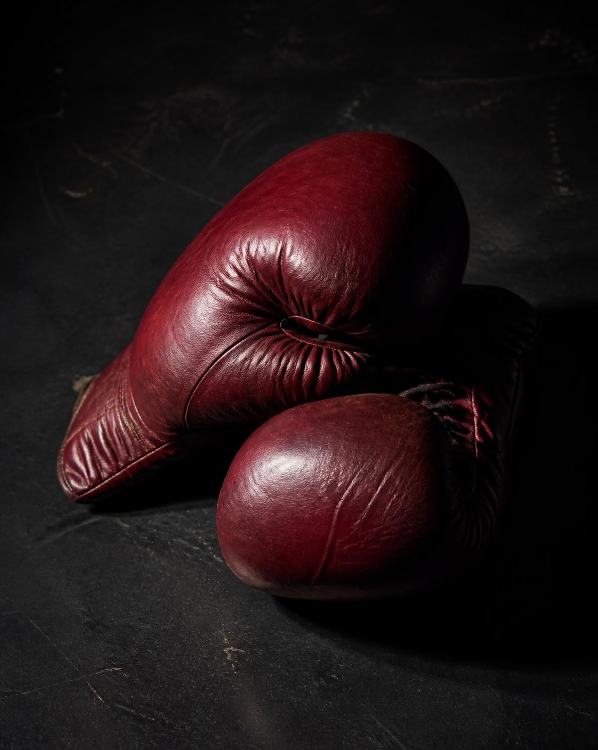 Oxblood leather boxing gloves